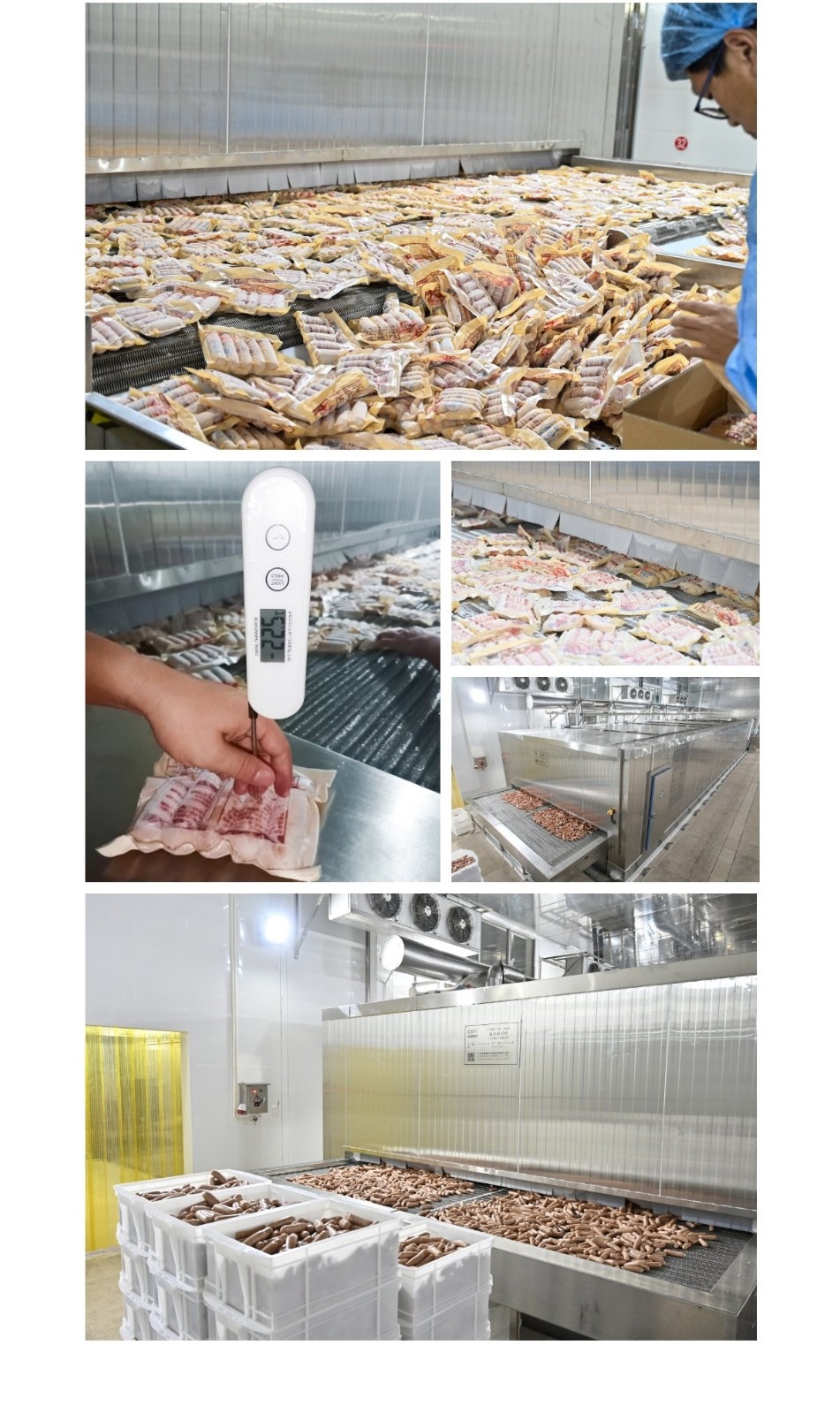 2023福建漳州香腸速凍隧道_05